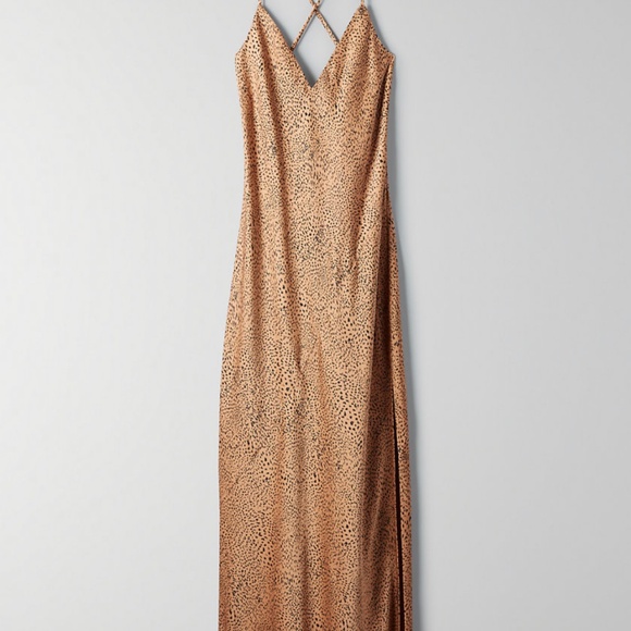Aritzia Babaton Leopard Slip Dress - Picture 1 of 4
